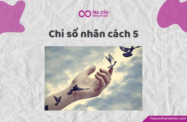 Chỉ số nhân cách 5 là gì? Đặc điểm tính cách và con đường tình yêu, sự nghiệp