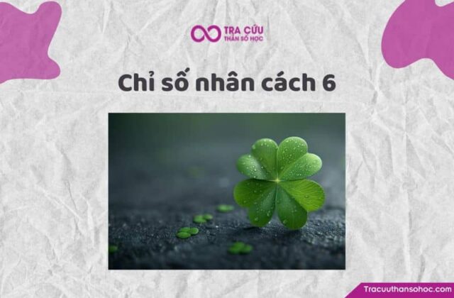 Chỉ số nhân cách 6 là gì? Đặc điểm tính cách và con đường tình yêu, sự nghiệp