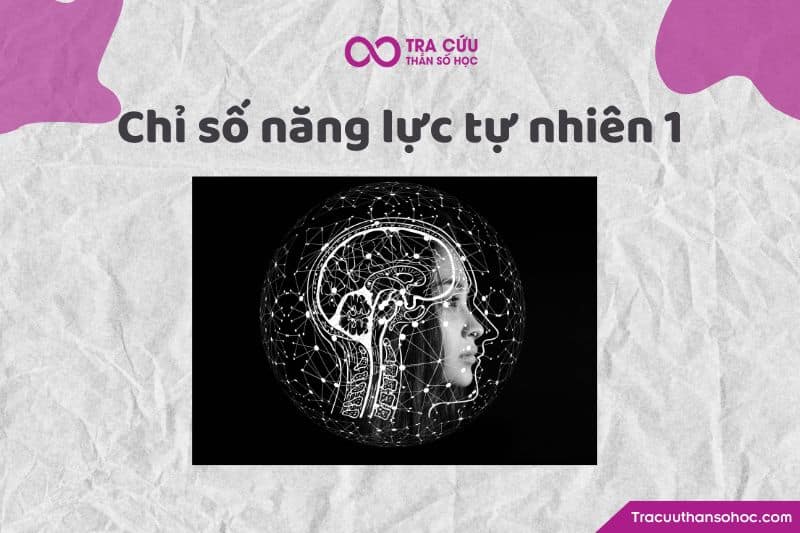 Chỉ số năng lực tự nhiên Chỉ số năng lực tự nhiên