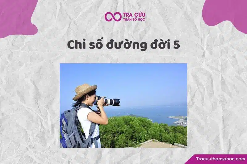 Chỉ số đường đời 5