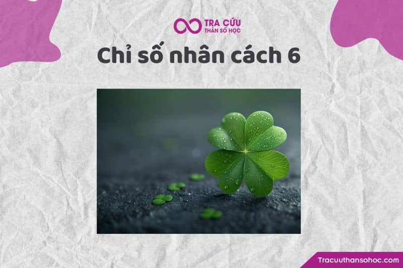 Chỉ số nhân cách 6 Chỉ số nhân cách 6