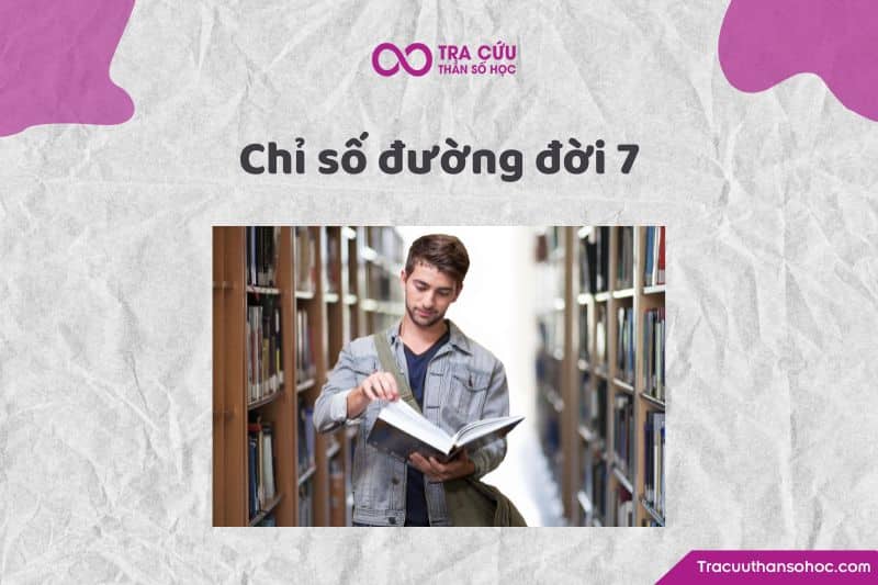 Chỉ số đường đời 7