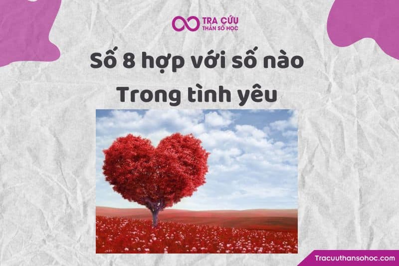 Số 8 hợp với số nào trong tình yêu