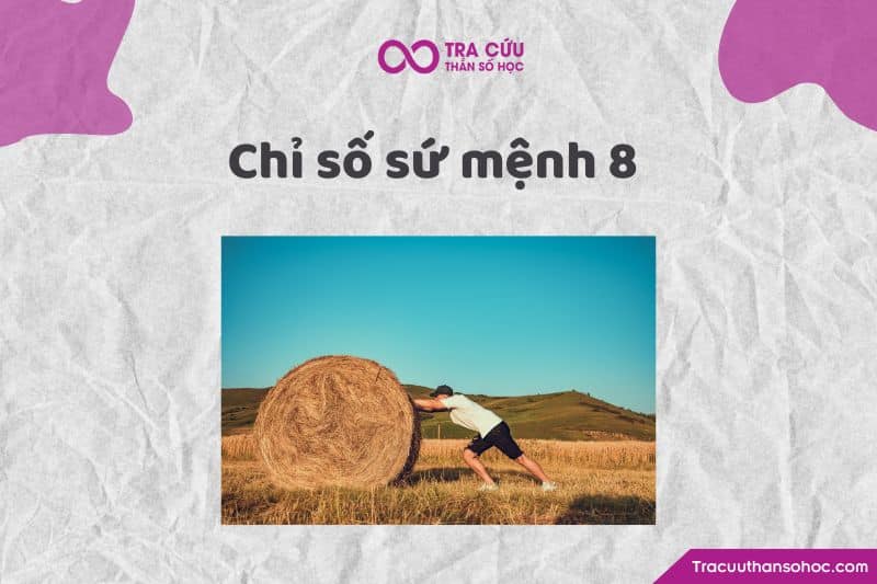 Chỉ số sứ mệnh 8